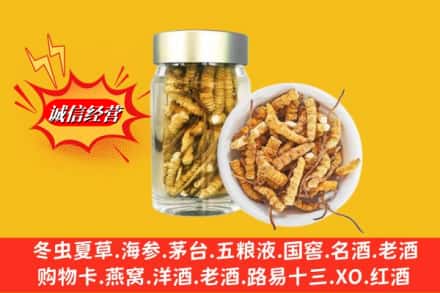 许昌市鄢陵回收散虫草