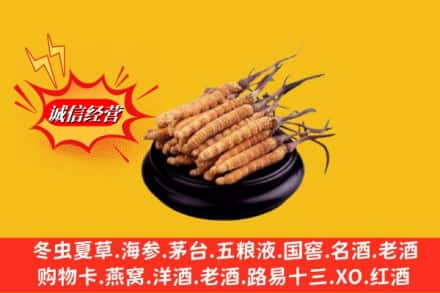 许昌市鄢陵名酒回收冬虫夏草.jpg